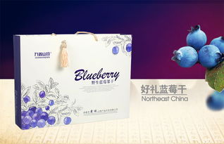 九鑫山珍野生藍(lán)莓干 品味東北林海的自然饋贈(zèng)