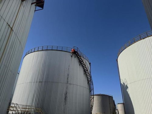 盤錦石化工廠以底價2245萬成交，臻鑫玖投資引發行業關注